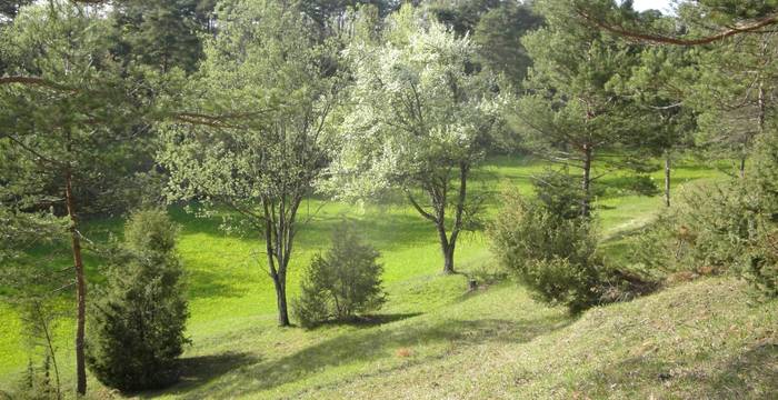 Chilpen © Pro Natura Baselland