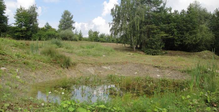 Weiher © Pro Natura Baselland