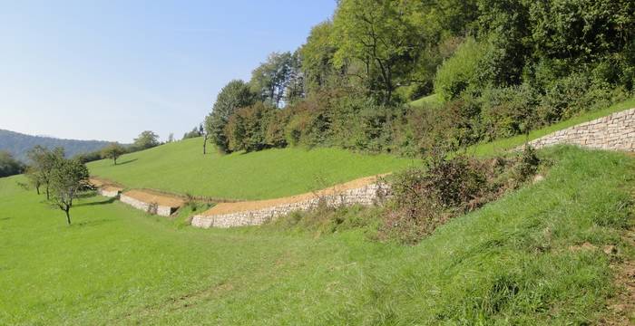 Trockenmauer Dielenberg