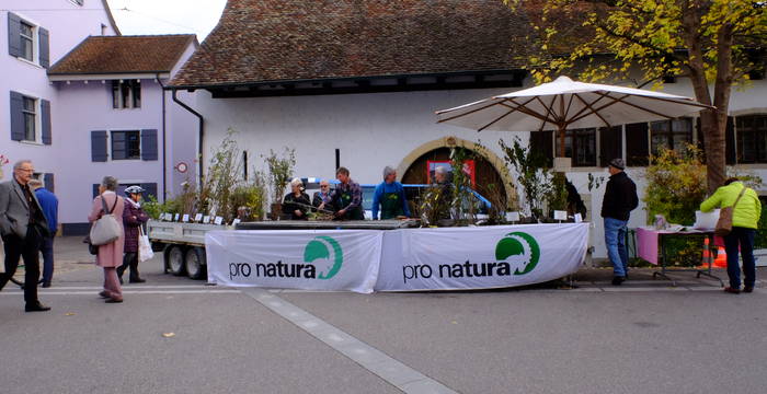 Wildsträuchermarkt Sissach