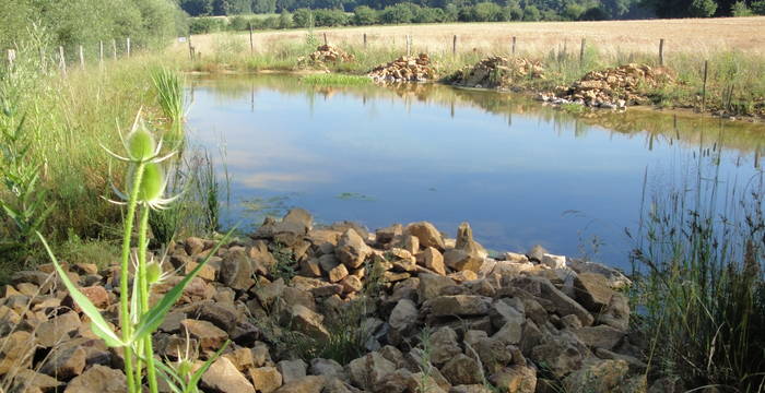 Weiher Erzmatten, Wenslingen