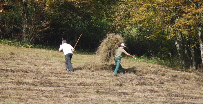pflegeeinsatz arbeitseinsatz naturschutz