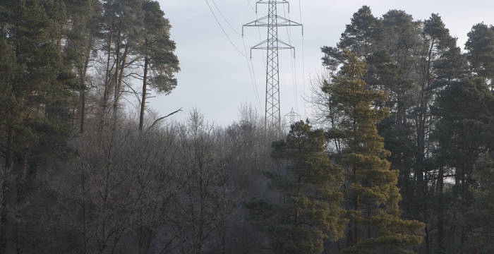 Stromtrasse überzogen mit Raureif