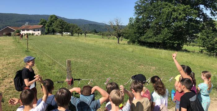 Wiesentouren Wiesenexkursionen Schulen Exkursionen Wiese Grasland