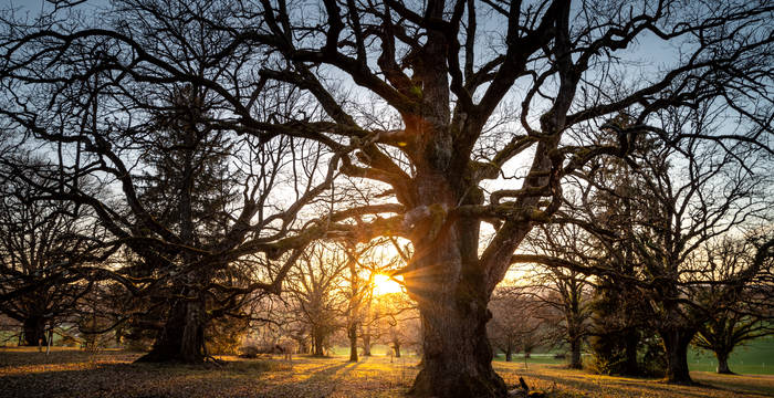 Pro Natura Baselland Naturkalender 2023 (Foto: Thomas Ruf)