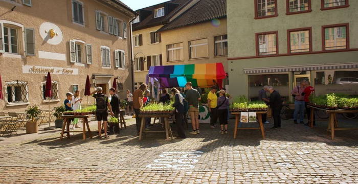 Auch durfte der diesjährige Wildpflanzenmarkt nicht fehlen. Nach zwei Jahren Ruhe im Stedtli wurden endlich wieder viele Sträucher und Pflanzen verkauft.