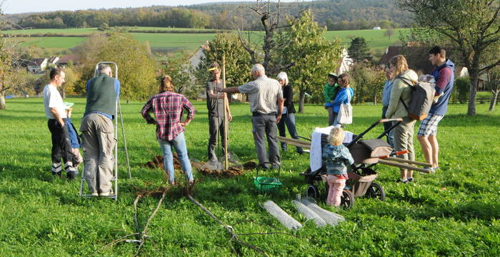 Instruktionen für die Pflanzung von Hochstamm-Obstbäumen.