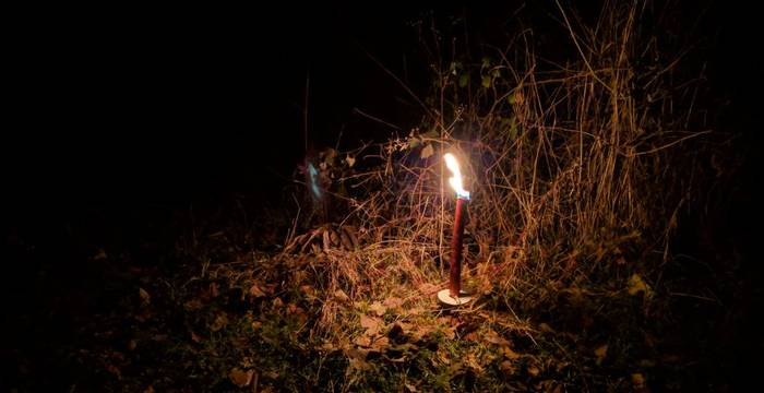 Fakel im Wald