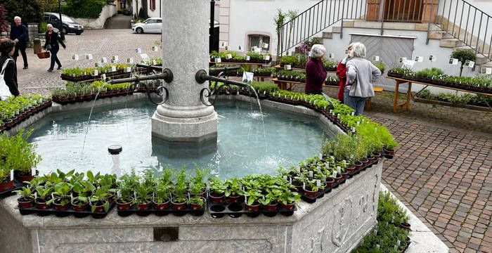 Wildpflanzen- und Kräutermarkt Arlesheim