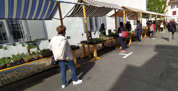 Wildpflanzen- und Kräutermarkt Liestal