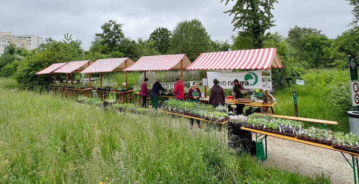 Wildpflanzen- und Kräutermarkt Birsfelden