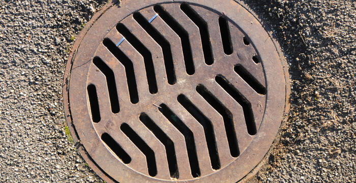 Schächte sind Fallen für Amphibien