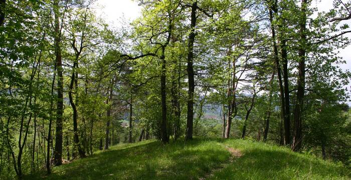 Naturschutzgebiet Chilpen