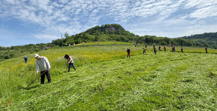 Sensenkurs in Sissach