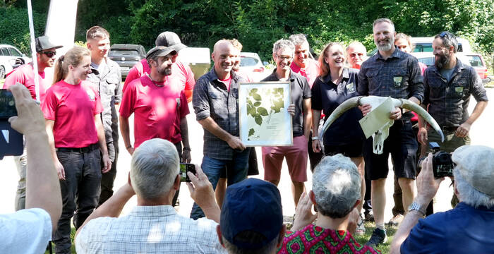 Das Team der Forstbetriebe Frenkentäler nimmt den Naturschutzpreis 2025 entgegen.