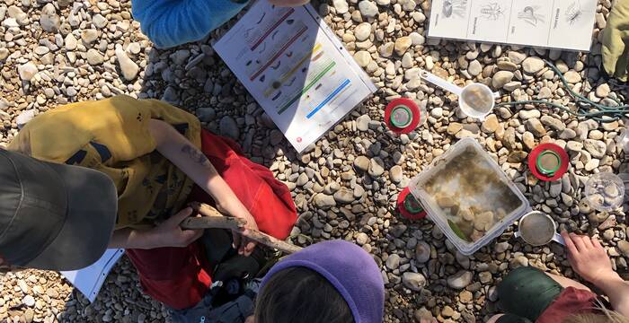 Ferienangebot WildStadtGarten