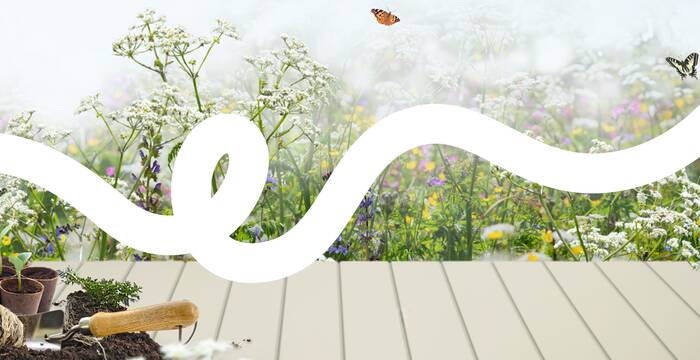 Wildpflanzen- und Kräutermärkte von Pro Natura Baselland