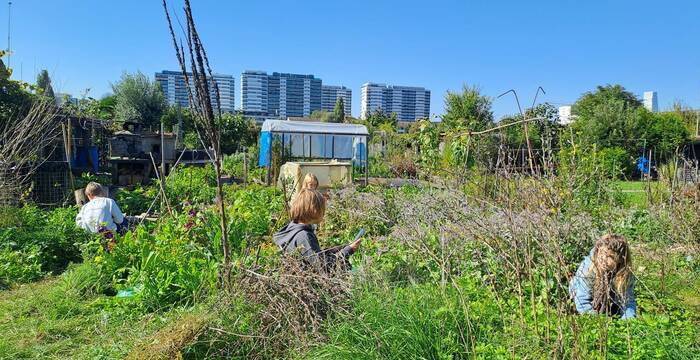 Forschen im WildStadtGarten