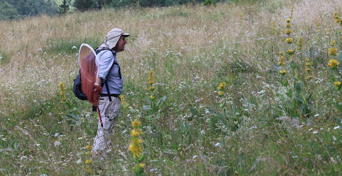 Arbeitsgruppe Tagfalterschutz Baselland