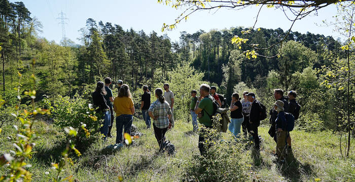 Der aufgewertete Stromtrassenabschnitt beim Mittleren Brandel, Kleinlützel (SO).