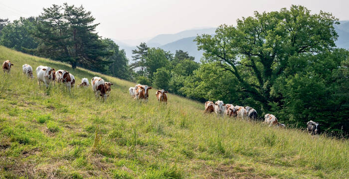 Kalender «Natur 2027»