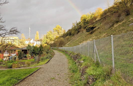 Schutzgebiet Hagnau, Birsfelden.