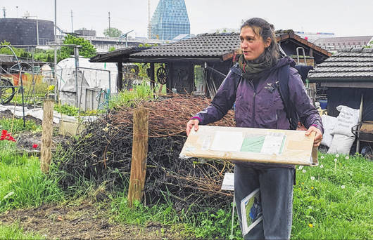 Meret Halter führte die Besucherinnen und Besucher durchs Birsfelder Naturschutzgebiet Hagnau.