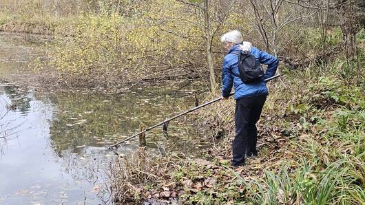 Makrophytenerfassung