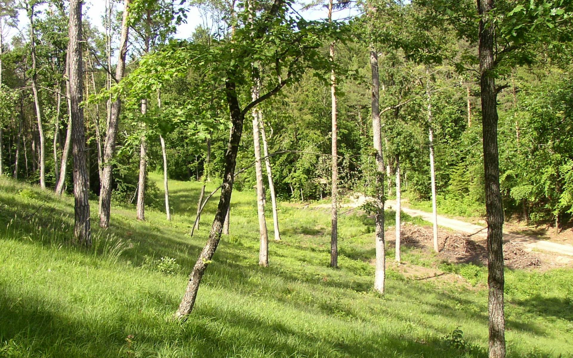 Chilpen © Pro Natura Baselland