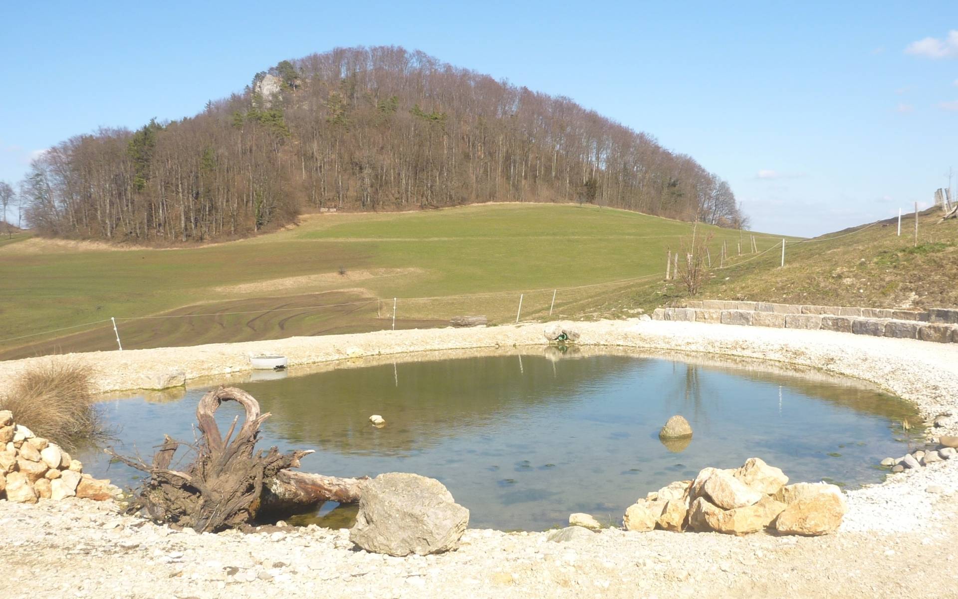 Weiher © Pro Natura Baselland