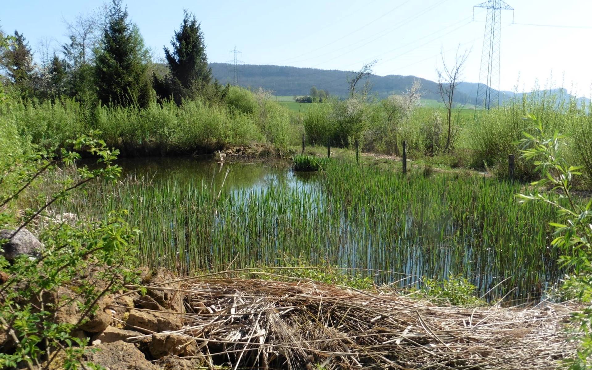 © Pro Natura Baselland
