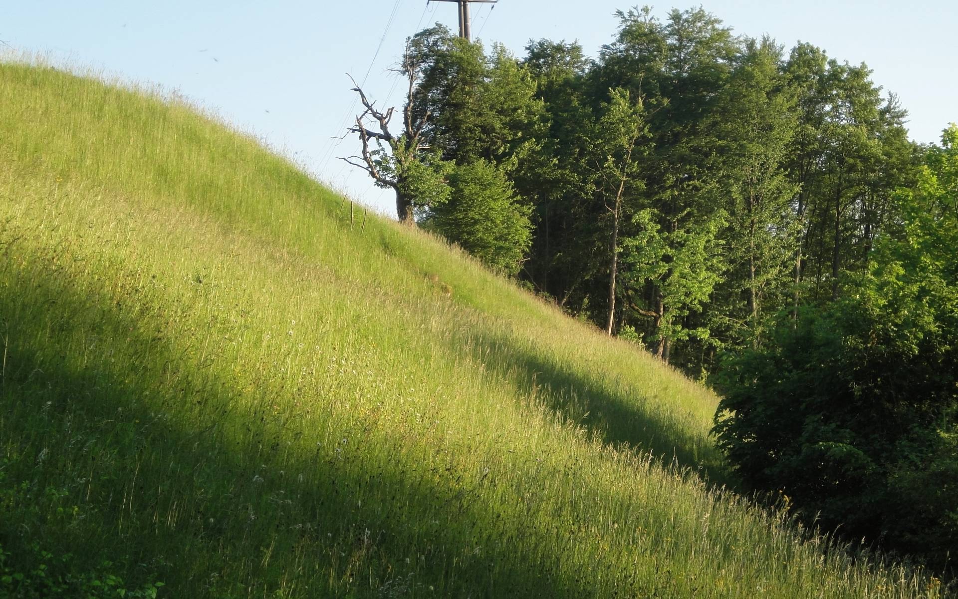 © Pro Natura Baselland