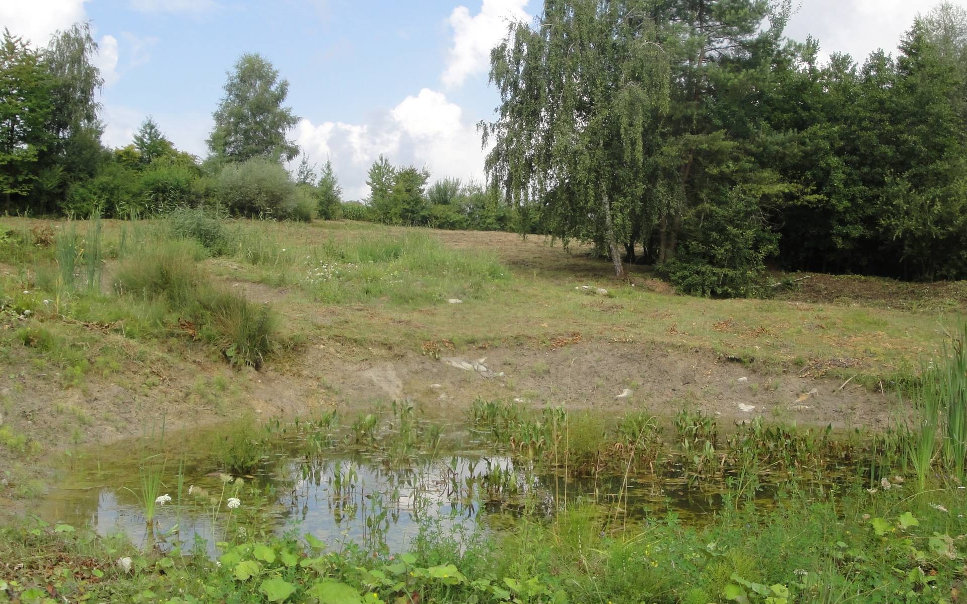 Weiher © Pro Natura Baselland