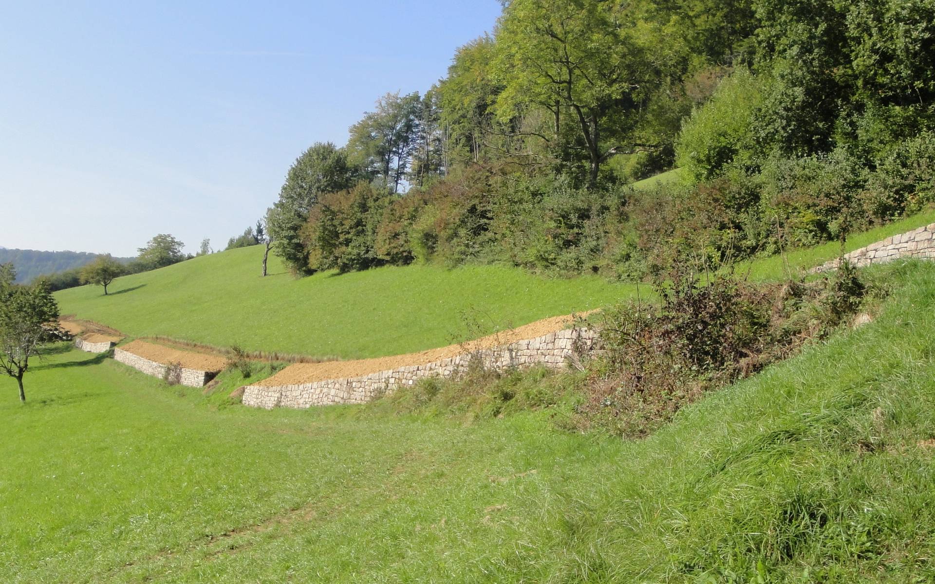 Trockenmauer Dielenberg © Pro Natura Baselland