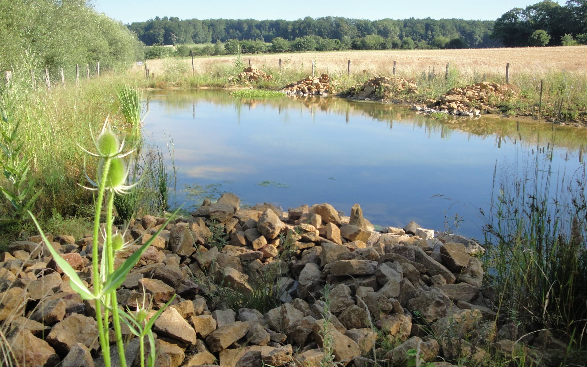 Weiher Erzmatten, Wenslingen