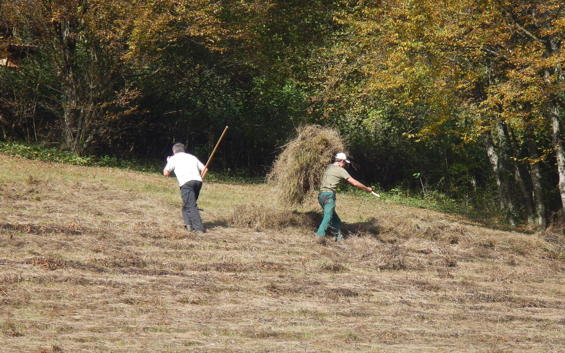 Naturschutztag Pflegeeinsatz Freiwilligenarbeit