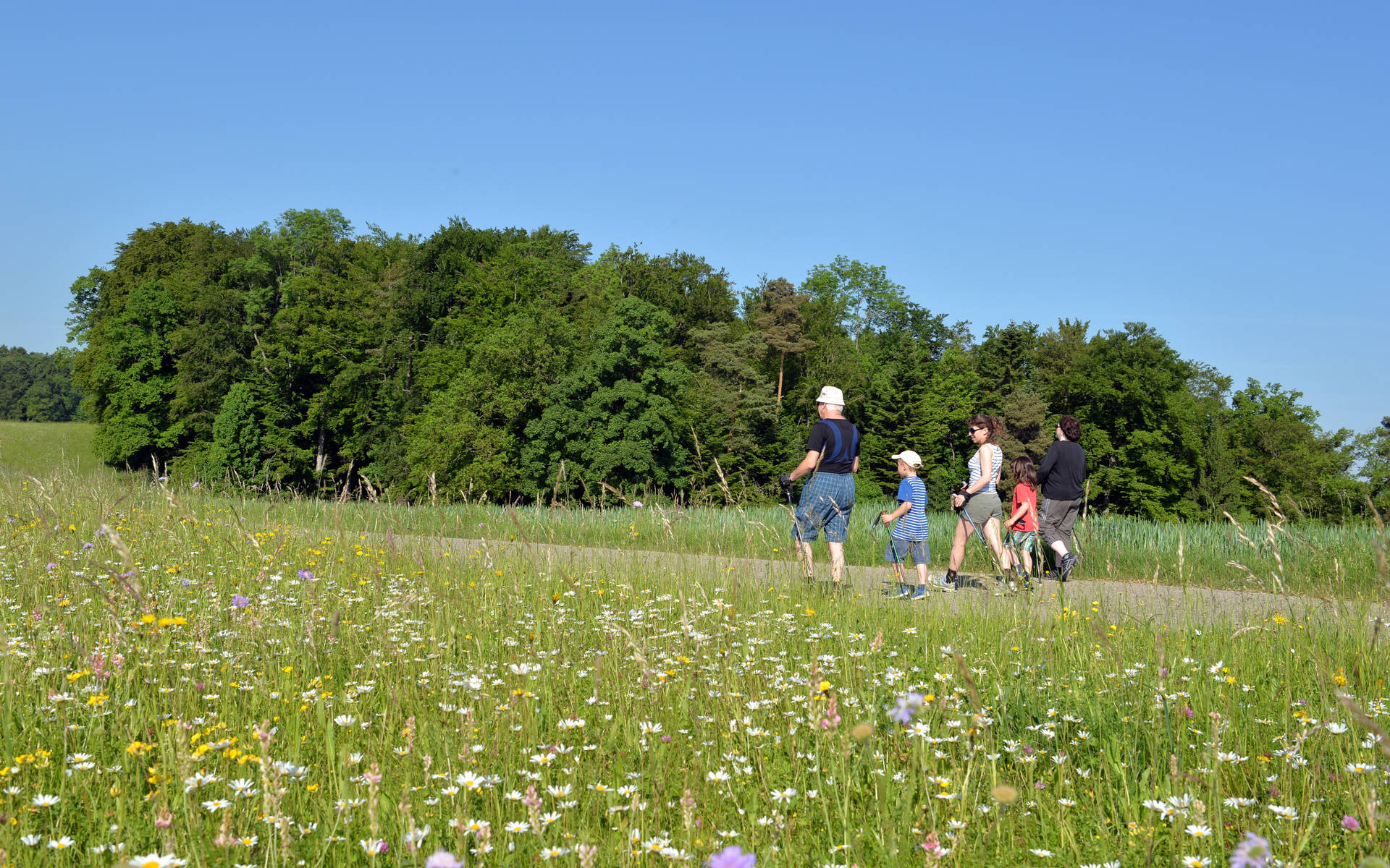 Wiesentouren Baselland