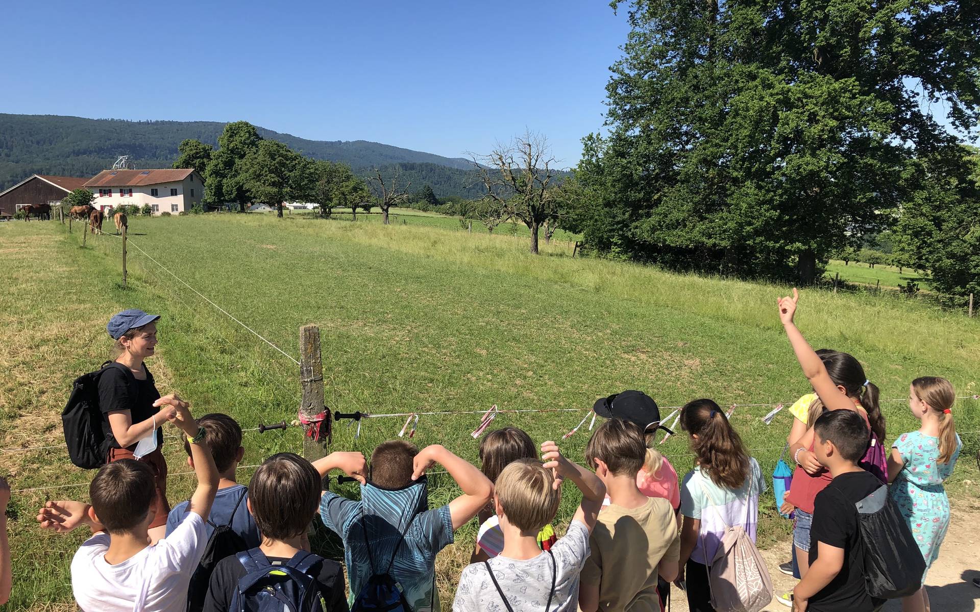 Wiesentouren Wiesenexkursionen Schulen Exkursionen Wiese Grasland