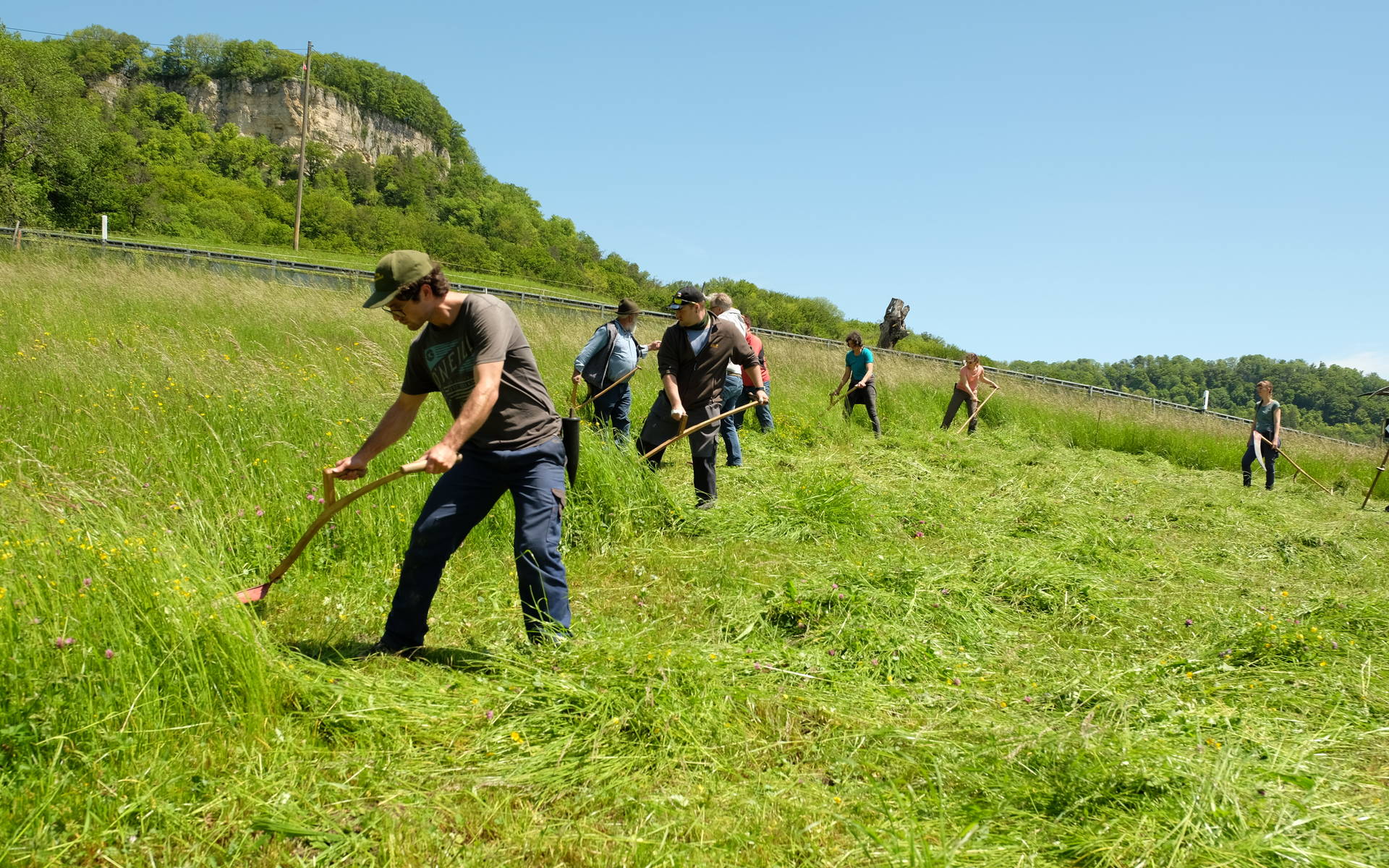 Sensenkurs Pro Natura Baselland