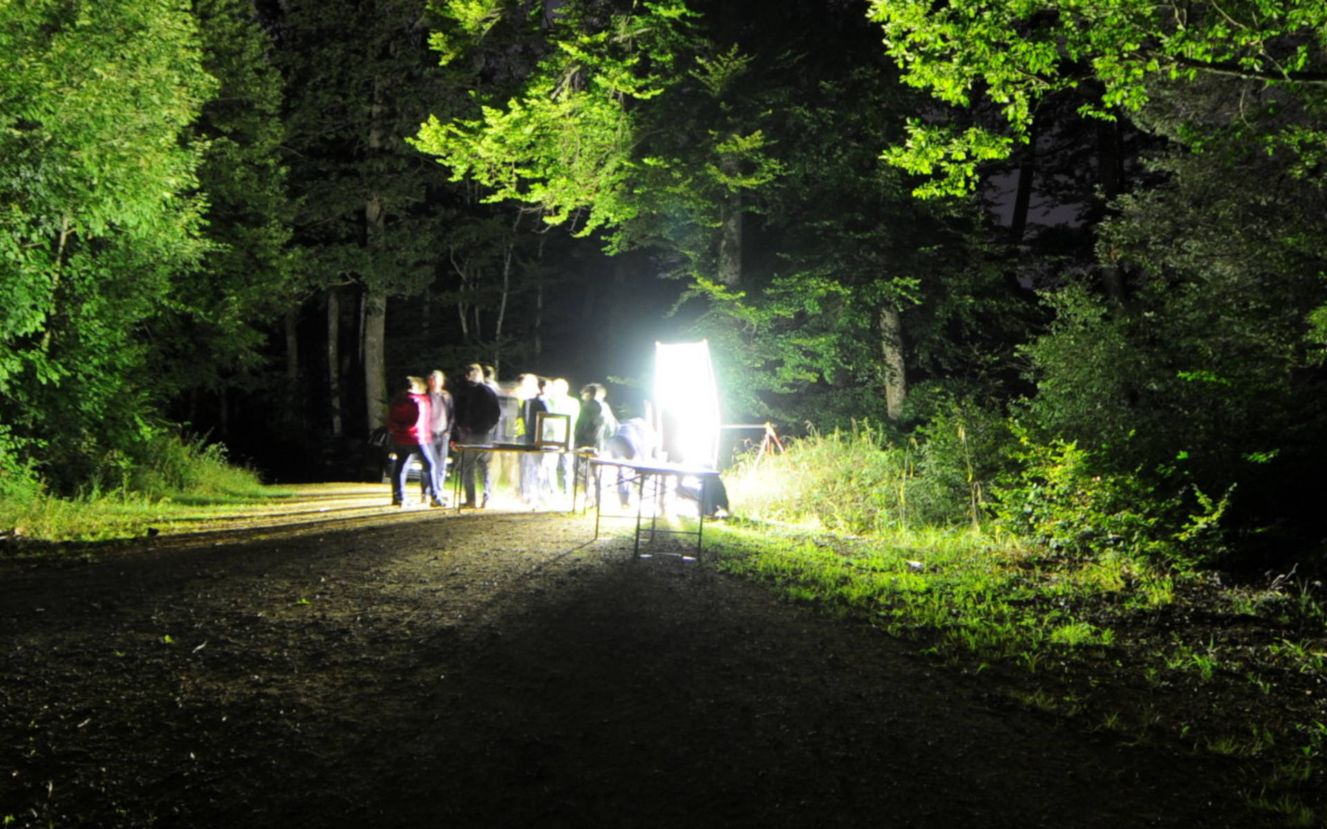 Festival der Natur