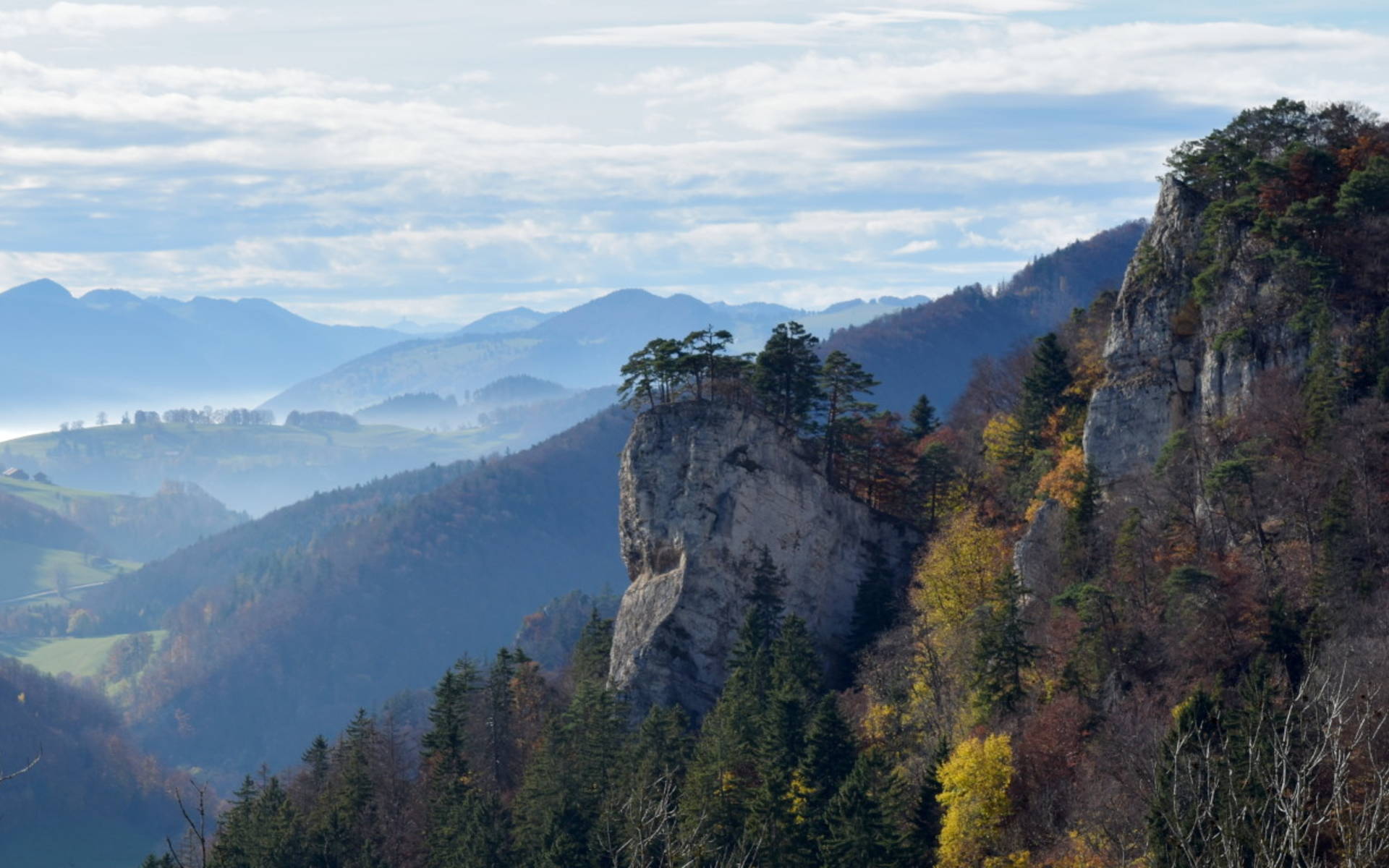 Ankenballen (Foto: Thomas Fabbro)
