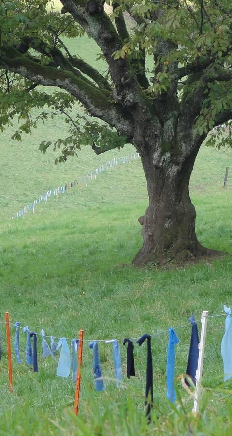 Pro Natura Baselland