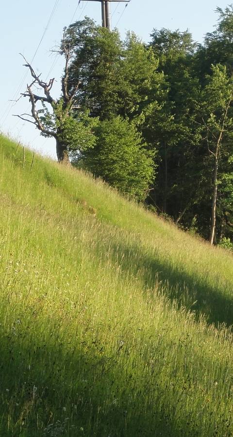  Pro Natura Baselland