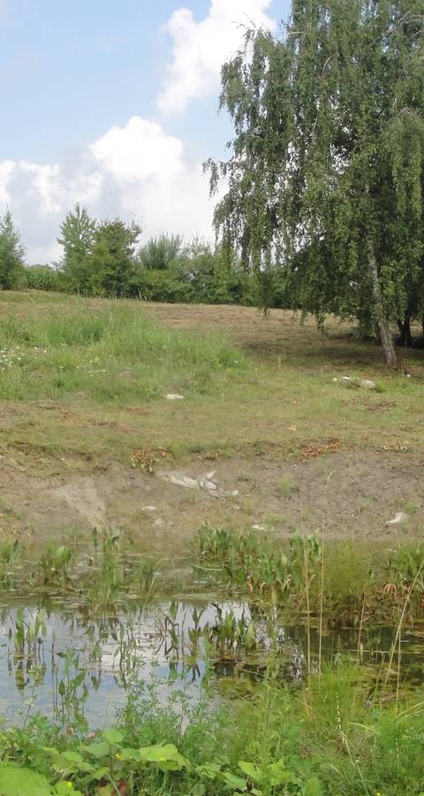 Weiher