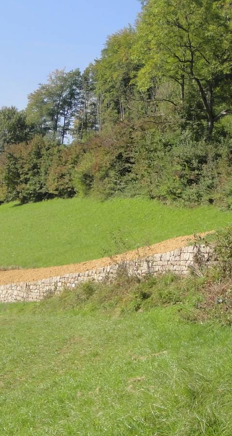 Trockenmauer Dielenberg