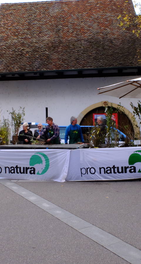 Wildsträuchermarkt Sissach