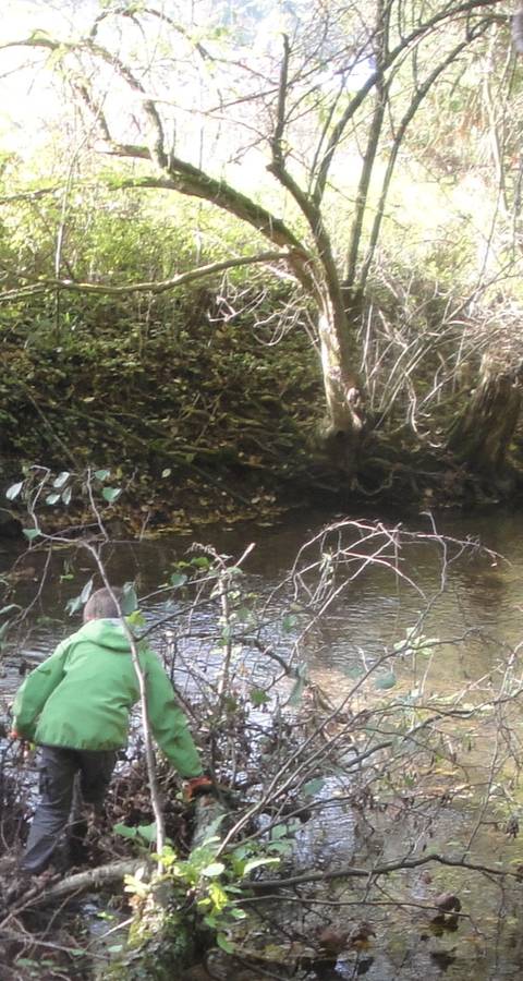 Kinder am Naturschutztag