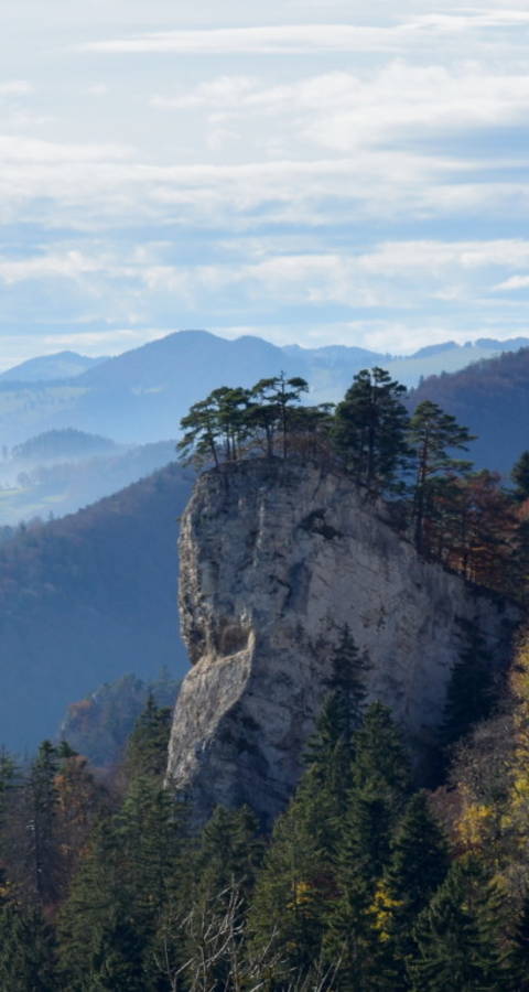 Ankenballen (Foto: Thomas Fabbro)