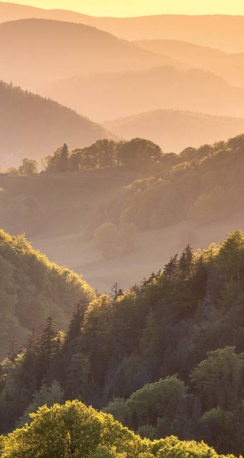 Pro Natura Baselland Naturkalender 2024 (Foto: Martin Mägli)