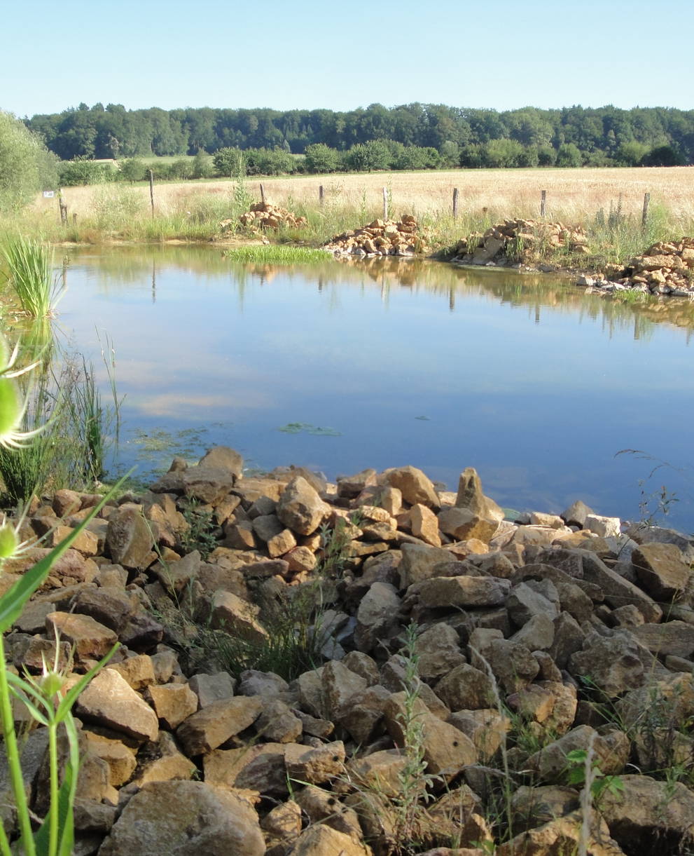 Weiher Erzmatten, Wenslingen